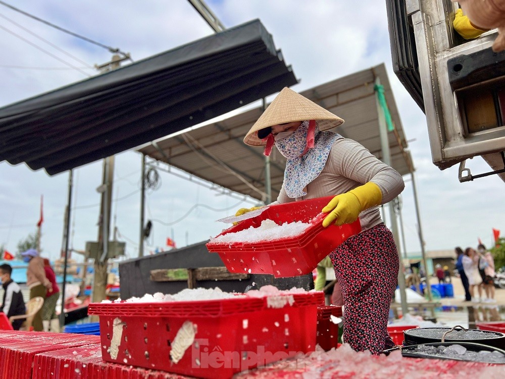 Một đêm ra khơi ngư dân Quảng Ngãi sắm được... 1 chỉ vàng - Ảnh 21.