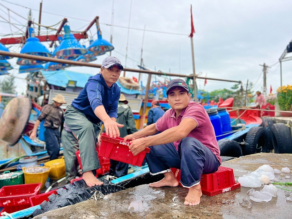 Một đêm ra khơi ngư dân Quảng Ngãi sắm được... 1 chỉ vàng - Ảnh 24.