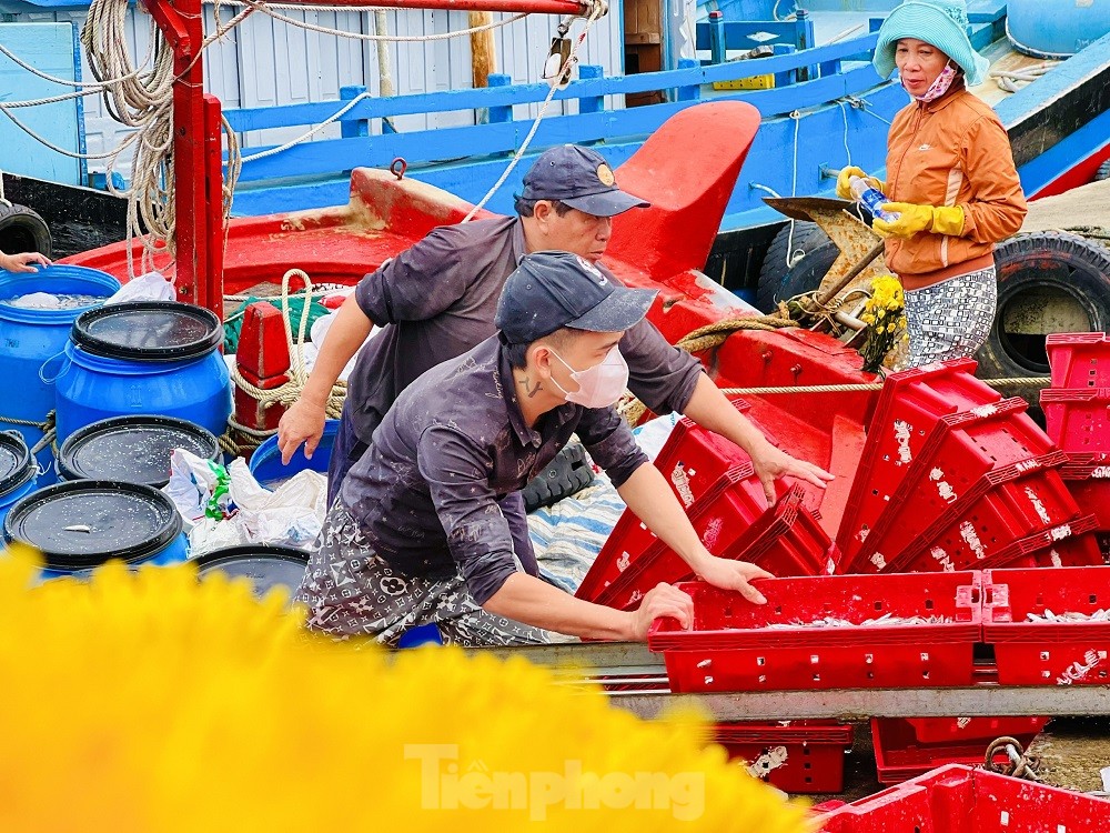 Một đêm ra khơi ngư dân Quảng Ngãi sắm được... 1 chỉ vàng - Ảnh 6.