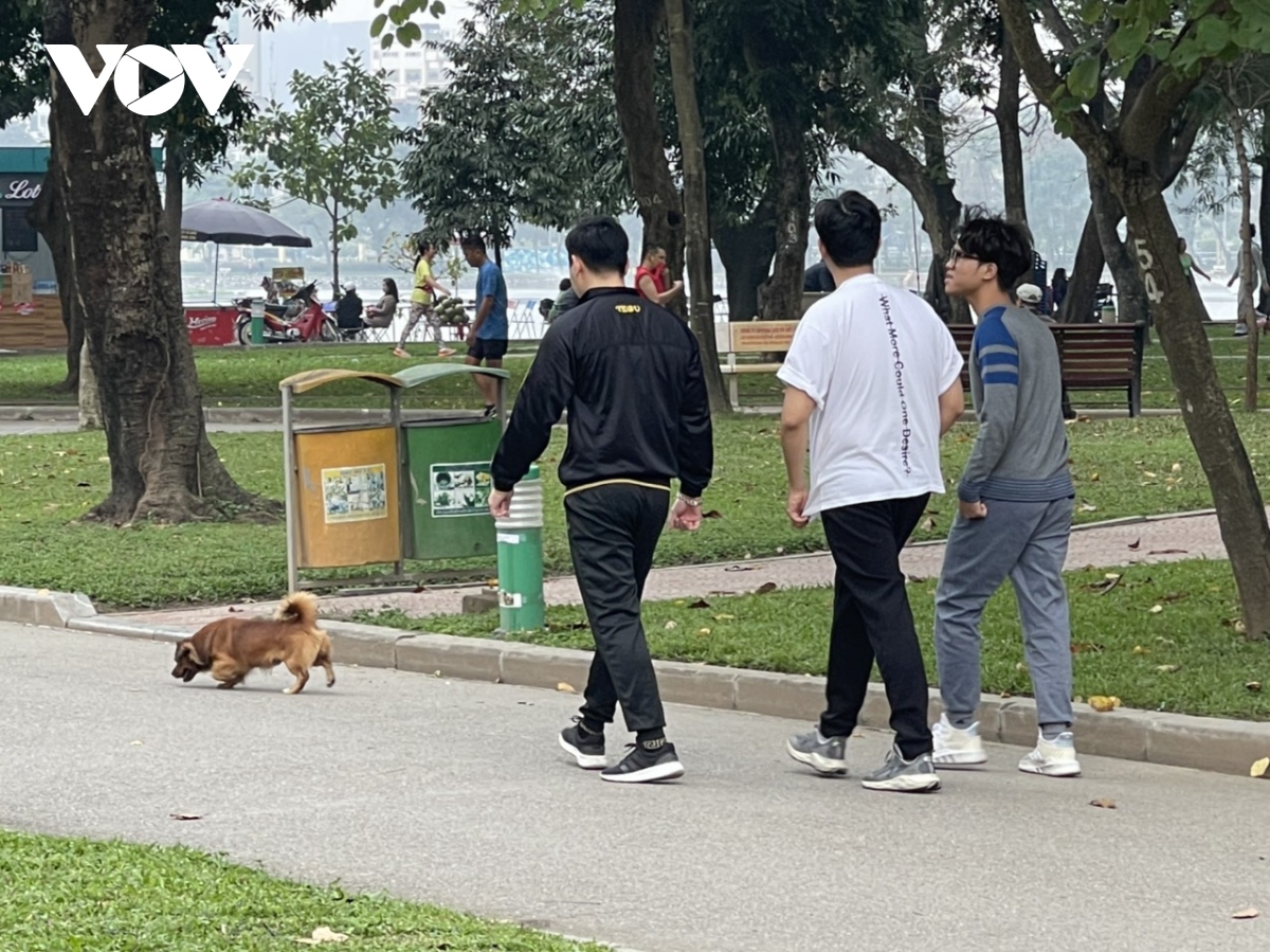 Tái diễn tình trạng chó thả rông không rọ mõm tại công viên Thống Nhất - Ảnh 7.