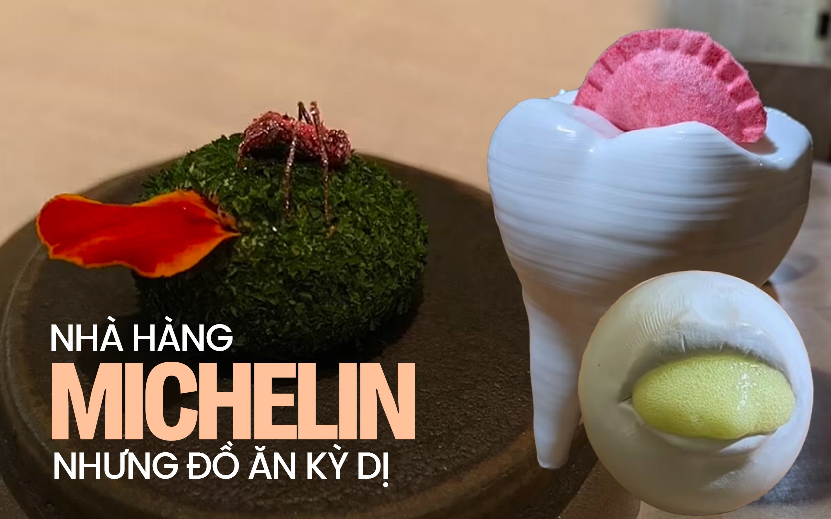 Nhà hàng gắn sao Michelin nhưng đồ ăn kỳ cục, phục vụ từ “nấm mốc” đến “thịt kiến”