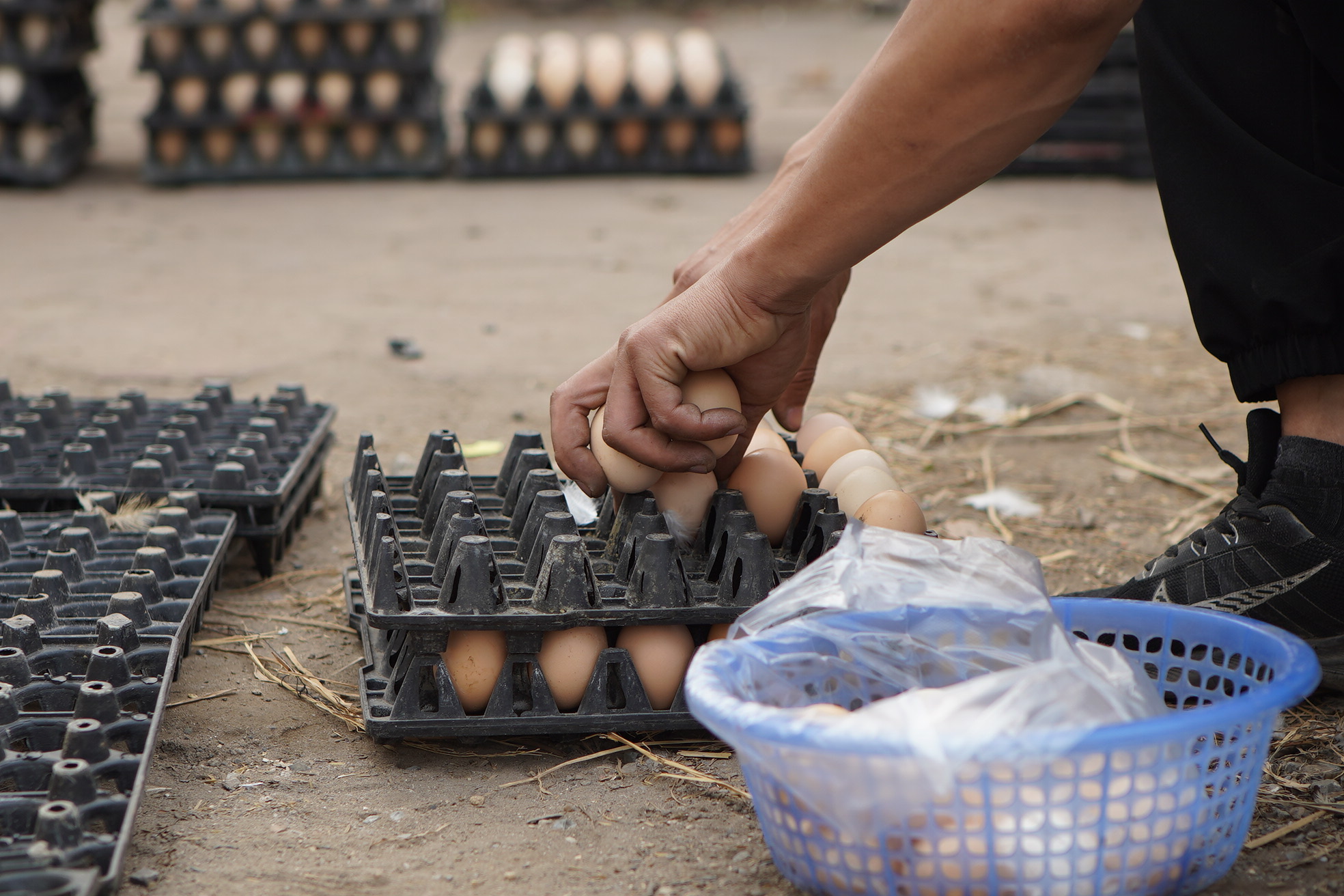 Sự thật chuyện 'giải cứu trứng gà 65.000 đồng 30 quả' tràn lan trên vỉa hè Hà Nội - Ảnh 6.