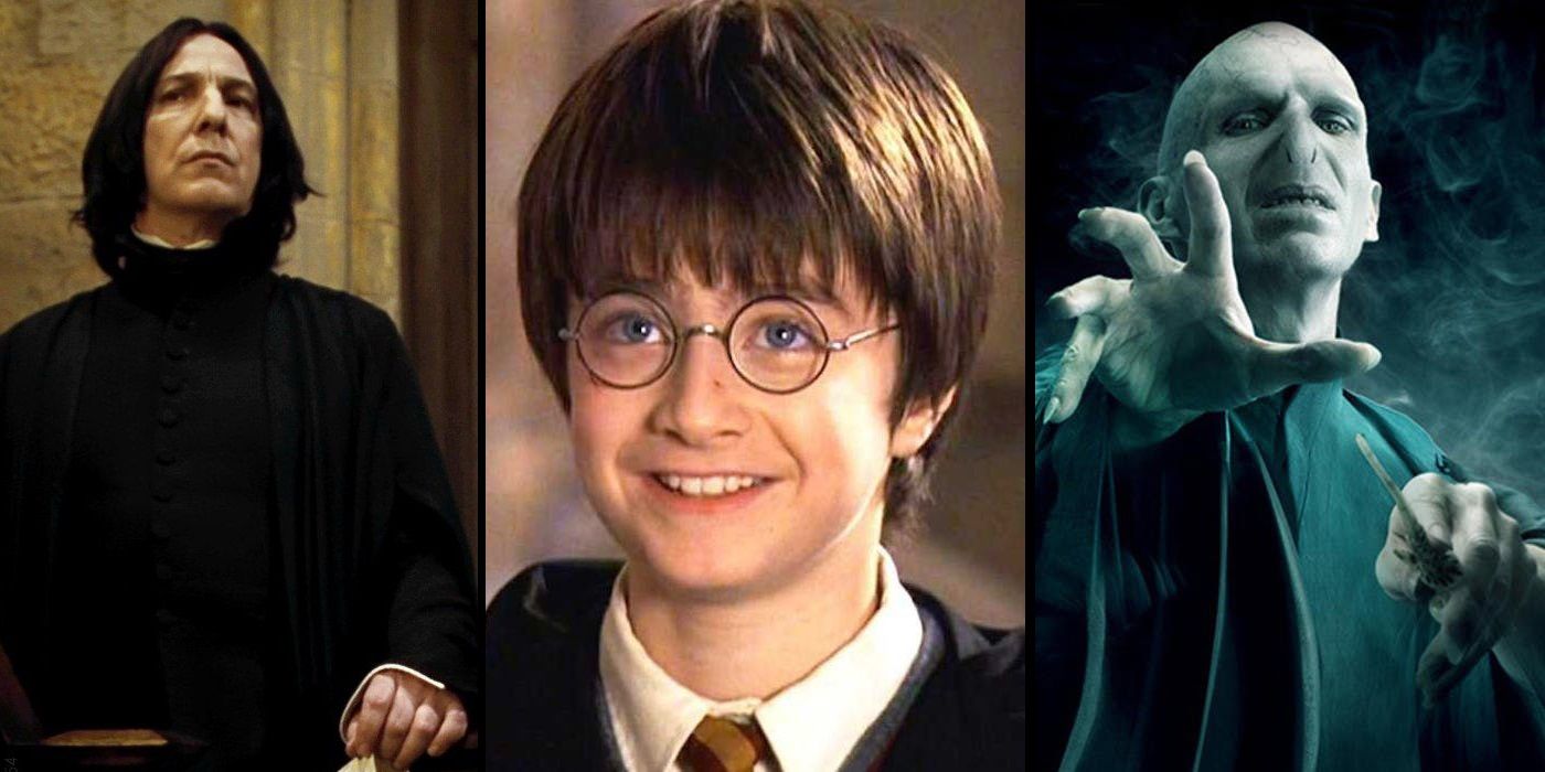 Loạt giả thuyết khó tin nhưng có thể thay đổi Harry Potter mãi mãi: Nam chính và phản diện là anh em ruột? - Ảnh 6.