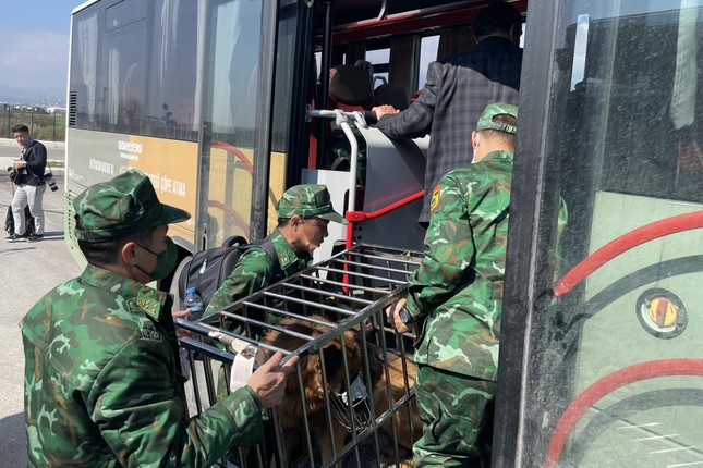 Chiều nay, 76 quân nhân Việt Nam sang giúp Thổ Nhĩ Kỳ về tới Nội Bài - Ảnh 4. Chiều nay, 76 quân nhân Việt Nam sang giúp Thổ Nhĩ Kỳ về tới Nội Bài - Ảnh 4.