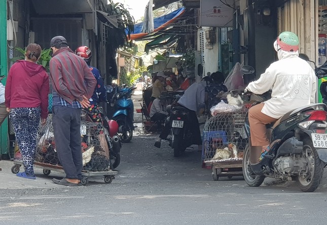 Gà, vịt bán đầy đường ở TPHCM, bất chấp dịch cúm gia cầm đe dọa - Ảnh 8. Gà, vịt bán đầy đường ở TPHCM, bất chấp dịch cúm gia cầm đe dọa - Ảnh 8.