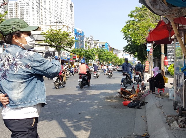 Gà, vịt bán đầy đường ở TPHCM, bất chấp dịch cúm gia cầm đe dọa - Ảnh 1. Gà, vịt bán đầy đường ở TPHCM, bất chấp dịch cúm gia cầm đe dọa - Ảnh 1.