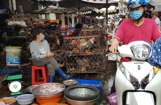 Gà, vịt bán đầy đường ở TPHCM, bất chấp dịch cúm gia cầm đe dọa - Ảnh 9. Gà, vịt bán đầy đường ở TPHCM, bất chấp dịch cúm gia cầm đe dọa - Ảnh 9.