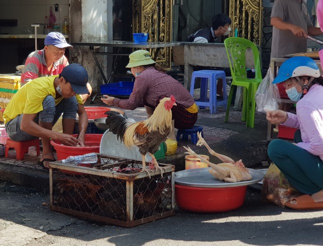 Gà, vịt bán đầy đường ở TPHCM, bất chấp dịch cúm gia cầm đe dọa - Ảnh 5. Gà, vịt bán đầy đường ở TPHCM, bất chấp dịch cúm gia cầm đe dọa - Ảnh 5.