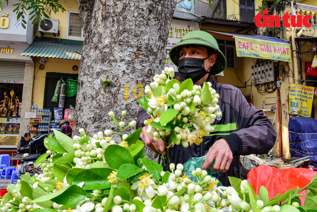 Dịu dàng mùa hoa bưởi về trên phố phường Hà Nội - Ảnh 2.
