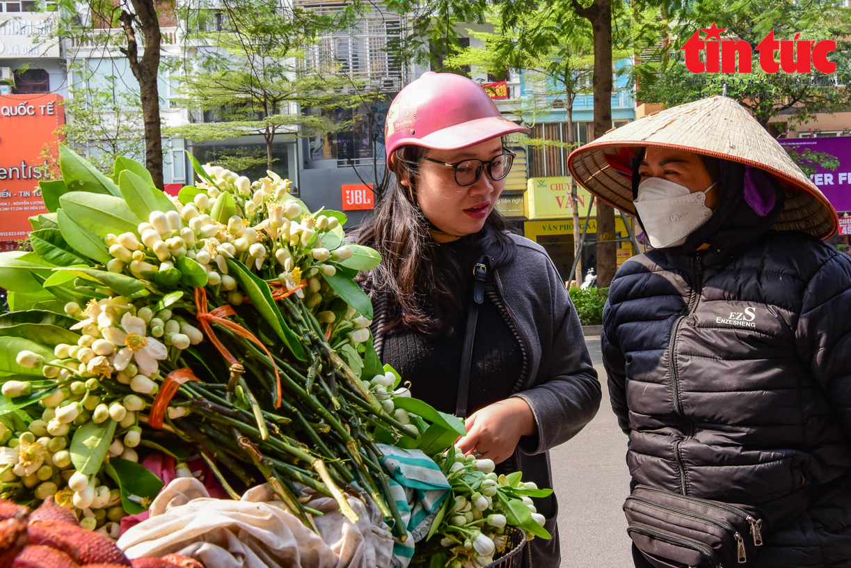 Dịu dàng mùa hoa bưởi về trên phố phường Hà Nội - Ảnh 5.