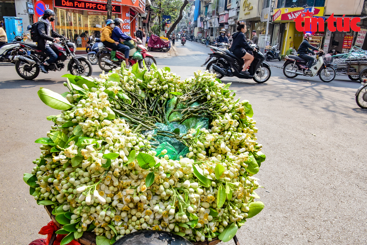 Dịu dàng mùa hoa bưởi về trên phố phường Hà Nội - Ảnh 1.
