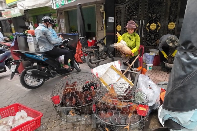 Vô tư mua bán gia cầm '3 không' bất chấp dịch H5N1 đe dọa - Ảnh 4.