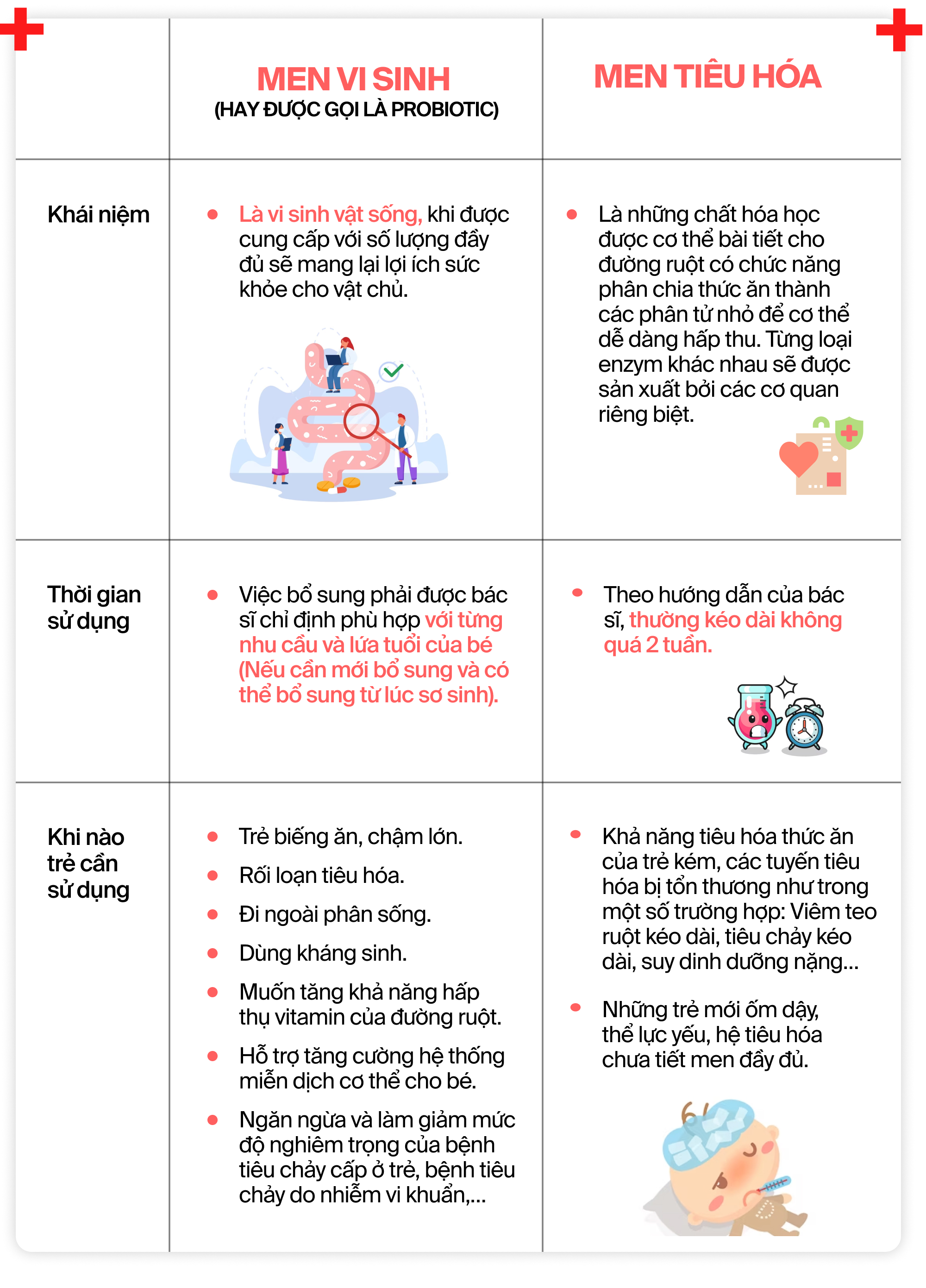 Infographic: Bác sĩ cảnh báo các mẹ không nên lạm dụng bổ sung men vi sinh và men tiêu hoá cho trẻ - Ảnh 1.