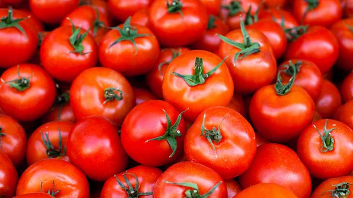 Giảm c&acirc;n hậu Tết: Ăn thực phẩm &ldquo;Negative-Calorie&rdquo; - Ảnh 5.