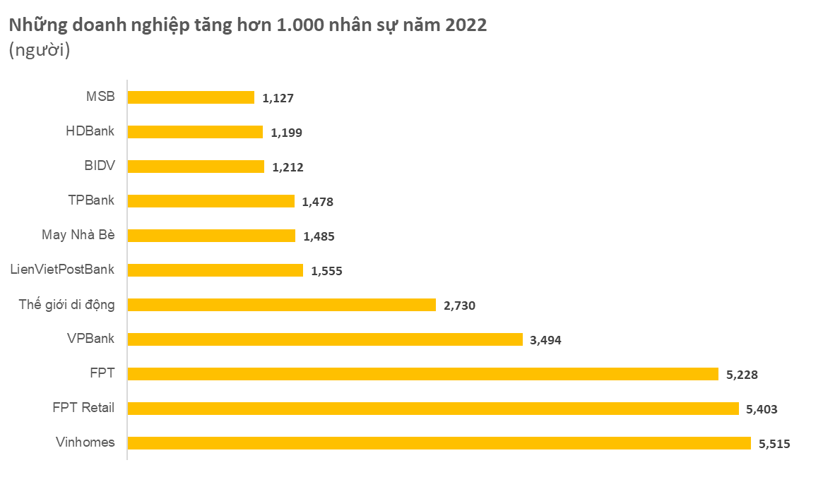 Nhiều ngân hàng tuyển thêm cả nghìn người năm 2022, Vinhomes, FPT tăng hơn 5.000 người, Đất Xanh và Thế giới Di động có động thái cắt giảm gây sốc - Ảnh 1.