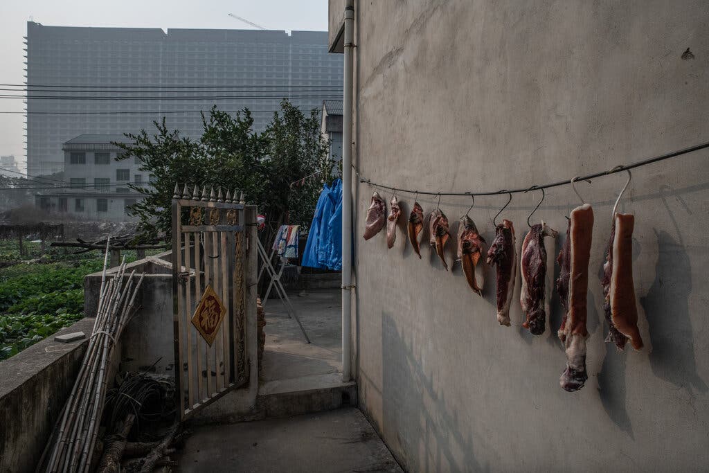 Khan hiếm đất nông nghiệp, Trung Quốc xây 'chung cư' để nuôi lợn với công nghệ tiên tiến, cho ăn cũng bằng dây chuyền hoàn toàn tự động - Ảnh 14.