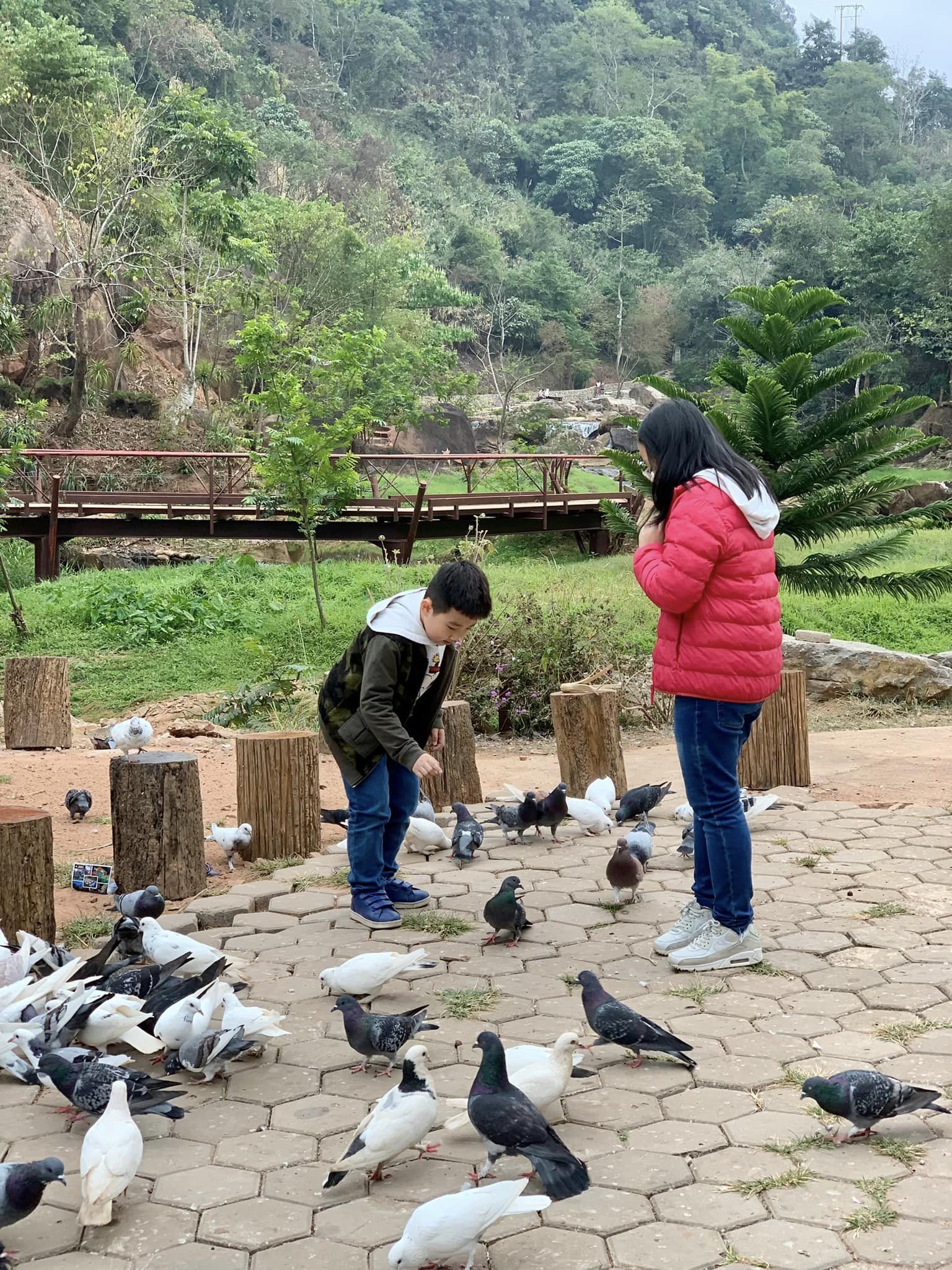 &quot;Săn&quot; hoa mận nở trắng rừng Mộc Châu, gia đình nhỏ có chuyến cắm trại ý nghĩa - Ảnh 4.