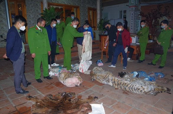 Nấu cao hổ, chủ tịch xã lĩnh án 3 năm tù giam - Ảnh 2. Nấu cao hổ, chủ tịch xã lĩnh án 3 năm tù giam - Ảnh 2.