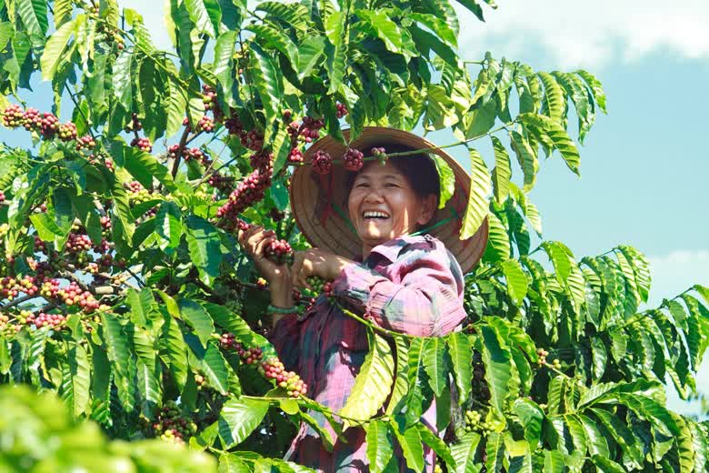 Buôn Mê Thuột -  Ngọn lửa rực rỡ của đại ngàn Tây Nguyên tầm nhìn &quot;điểm đến của cà phê toàn cầu&quot; - Ảnh 7.