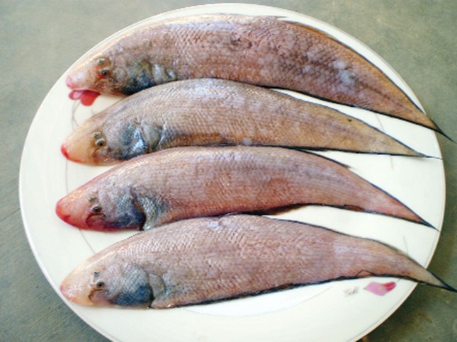 Đi chợ thấy những loại cá này nên mua ngay bởi cá ngọt thịt, ít xương lại giàu dinh dưỡng - Ảnh 3.