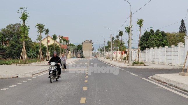 Kỳ lạ ngôi nhà &quot;mọc&quot; giữa đường ở Quảng Ninh - Ảnh 1.