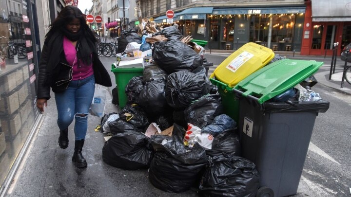 Khủng hoảng rác, Paris đối mặt cuộc xâm lăng của... chuột - Ảnh 1.