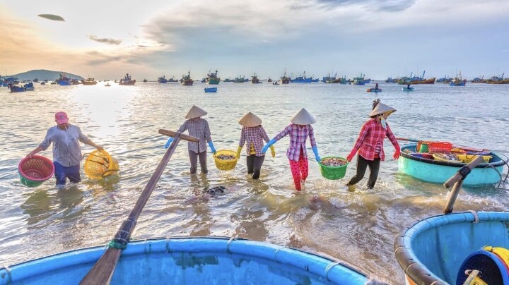 8 bãi biển đẹp nhất Việt Nam nên đi vào hè này - Ảnh 4.