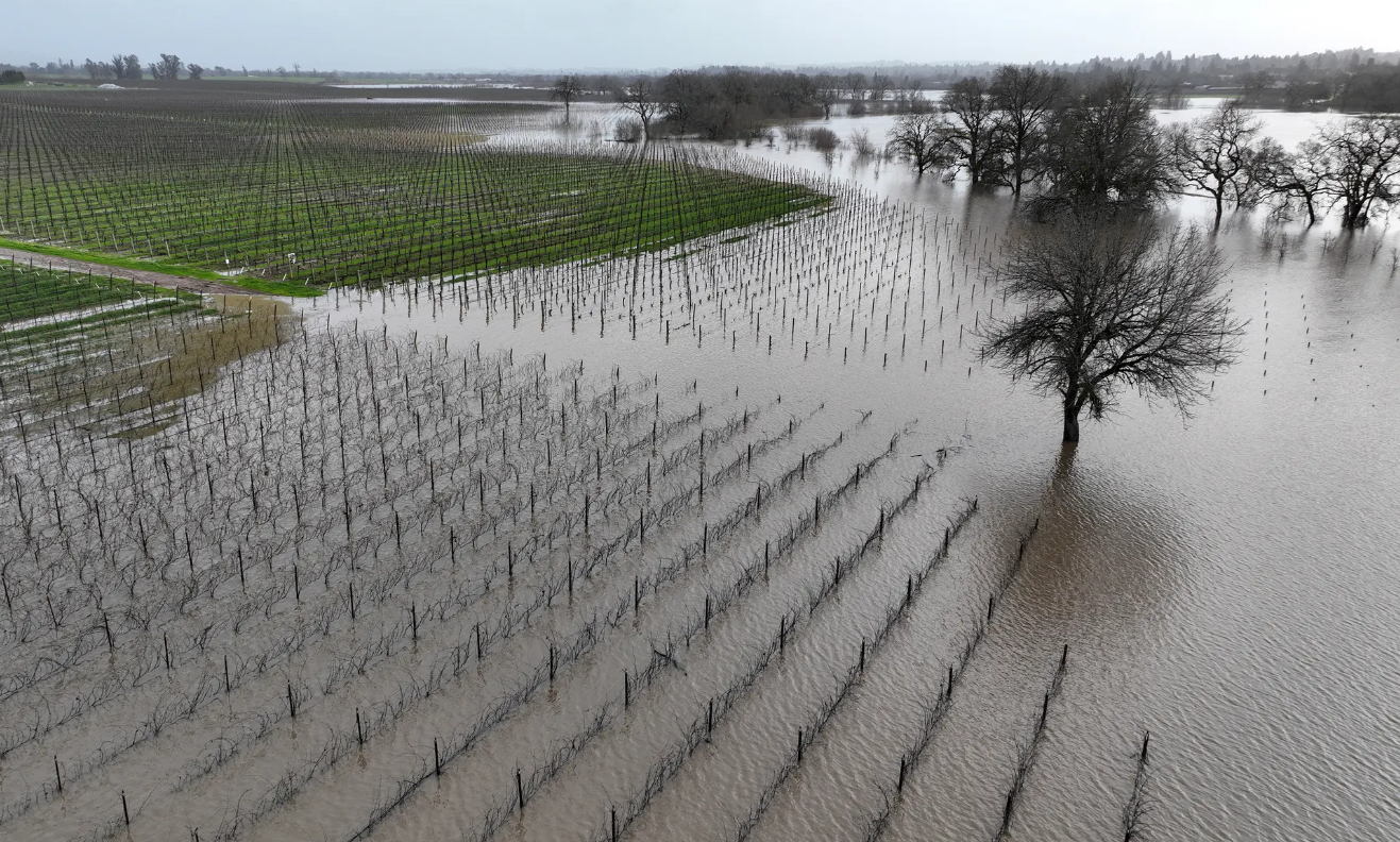 Ngập lụt ở Mỹ có thể ảnh hưởng tới chuỗi cung ứng thực phẩm toàn cầu - Ảnh 1.