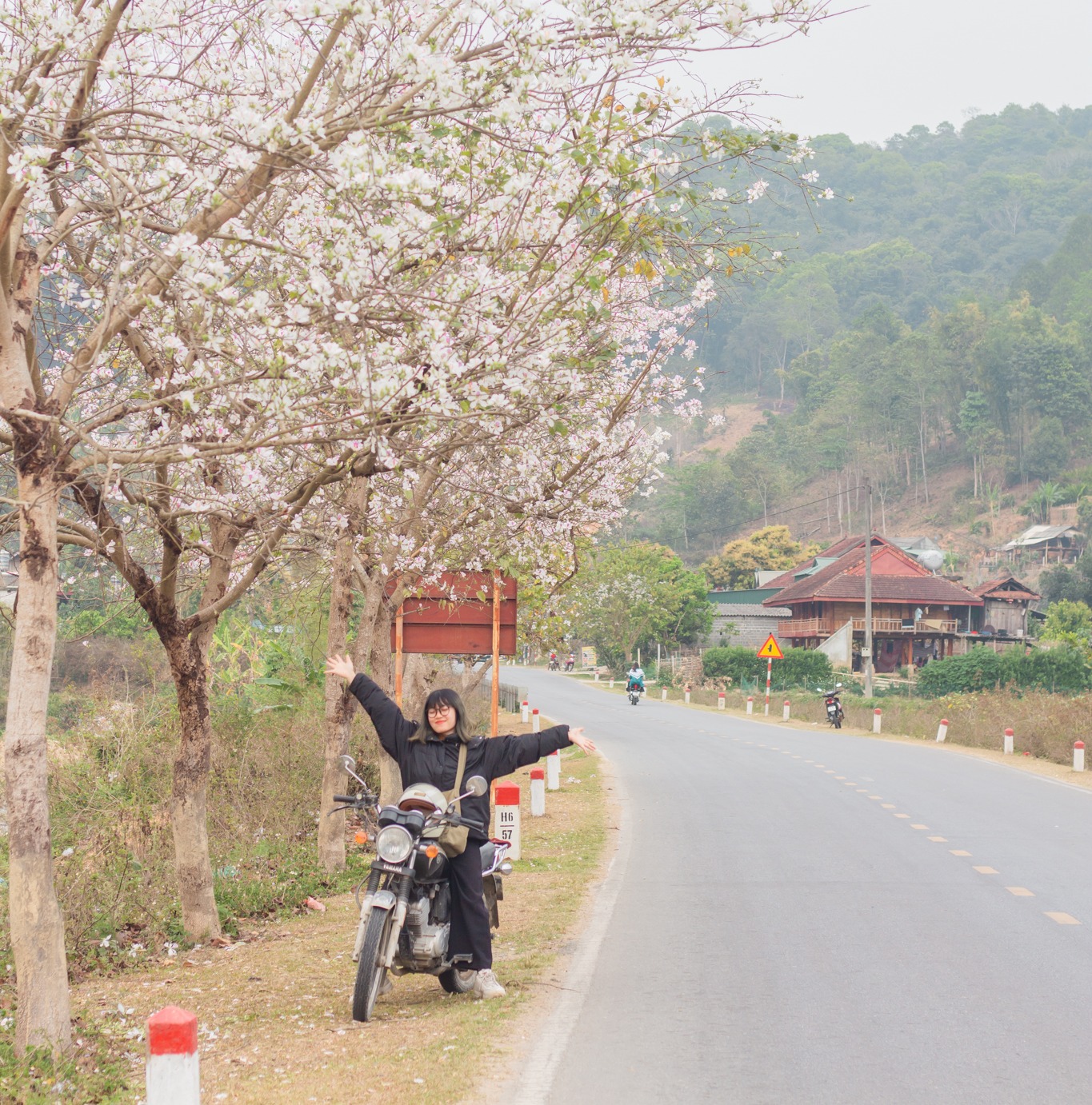 Ngất ngây trước vẻ đẹp Điện Biên mùa hoa ban nở lung linh nhất trong năm - Ảnh 2.