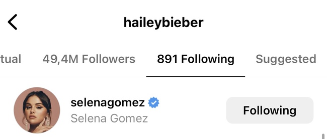 Hailey Bieber lên tiếng khi được Selena Gomez bảo vệ trước antifan, hòa bình lặp lại chỉ bằng một hành động - Ảnh 4.