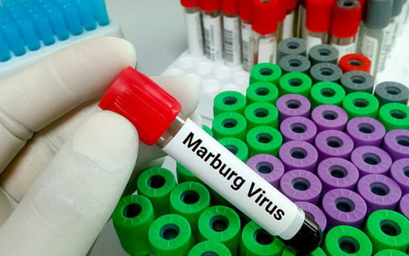 Những điều cần biết về bệnh do virus Marburg - Ảnh 1.