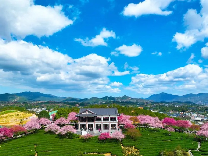 Mùa hoa anh đào bừng nở ở khắp nơi trên thế giới, cảnh tượng choáng ngợp cả năm mới được một lần chiêm ngưỡng - Ảnh 1.