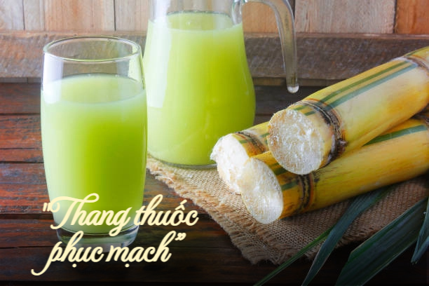 Thức uống được Đông y gọi là &quot;thang thuốc phục mạch&quot;, uống vào mùa hè vừa khỏe cho gan, vừa tốt cho thận lại còn đẹp da - Ảnh 1.