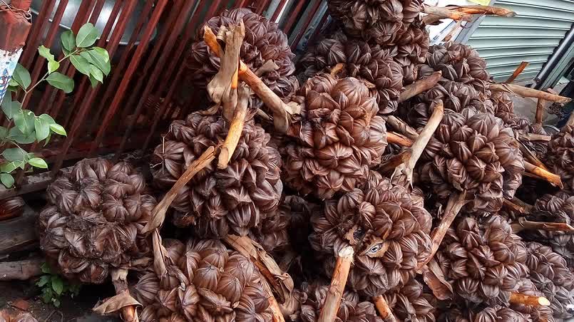 Loại quả mọc đầy ở Việt Nam nhưng vô cùng quý hiếm ở Trung Quốc, 'cung không đủ cầu' với dân sành ăn - Ảnh 2. Loại quả mọc đầy ở Việt Nam nhưng vô cùng quý hiếm ở Trung Quốc, 'cung không đủ cầu' với dân sành ăn - Ảnh 2.