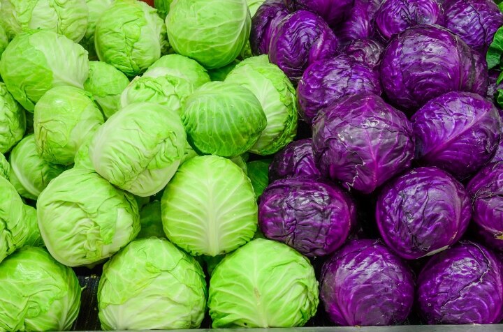 Vì sao bắp cải được coi là 'kho thuốc' của người nghèo? - Ảnh 3. Vì sao bắp cải được coi là 'kho thuốc' của người nghèo? - Ảnh 3.