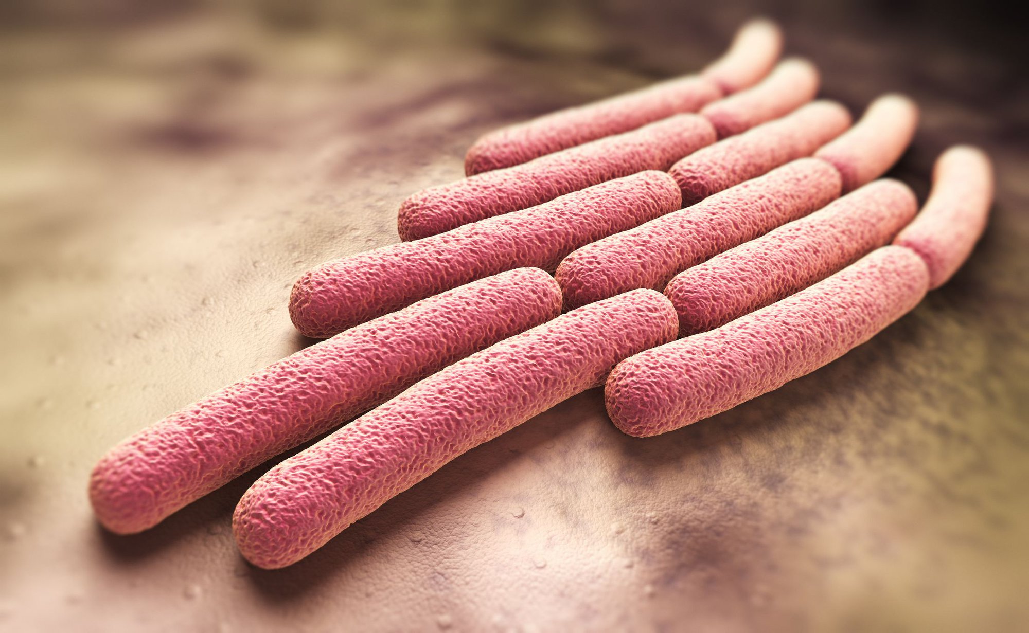 Cảnh báo sự gia tăng bệnh lý do vi khuẩn Shigella: Những điều cần biết để bảo vệ sức khoẻ - Ảnh 2.