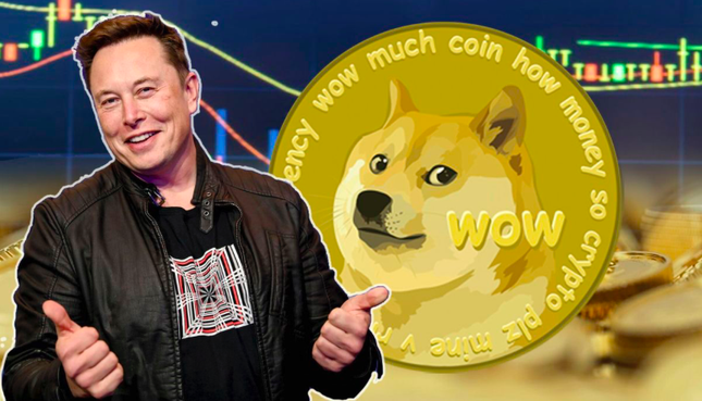 Elon Musk tìm cách thoát khỏi vụ kiện 258 tỷ USD vì đồng tiền số hình chó Dogecoin - Ảnh 1.