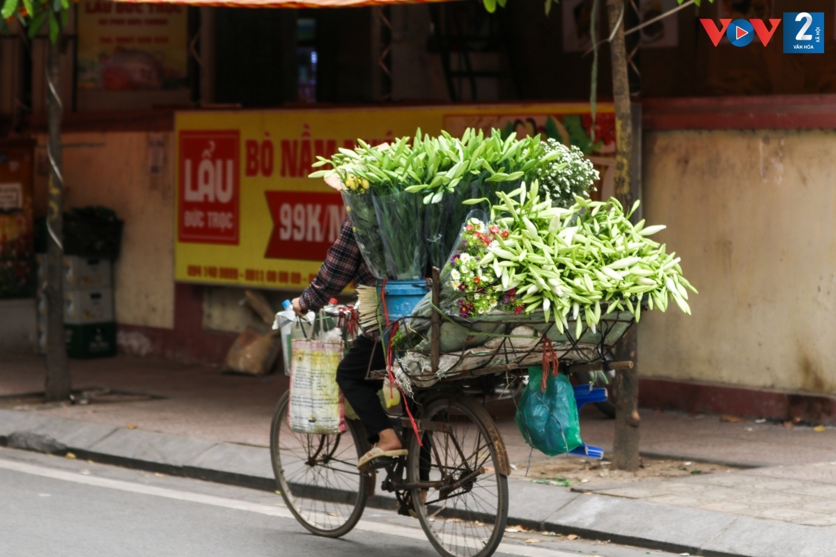 Tháng tư gọi mùa hoa loa kèn - Ảnh 6.