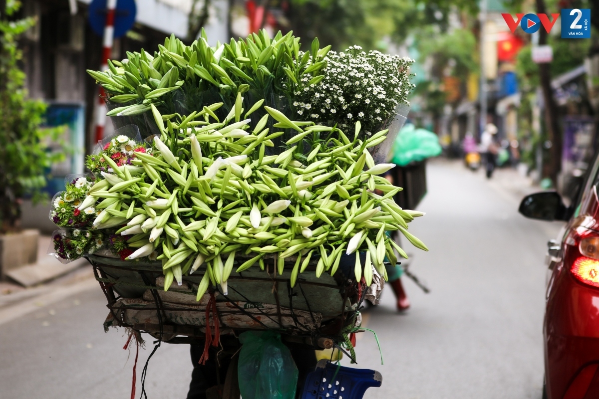 Tháng tư gọi mùa hoa loa kèn - Ảnh 13.