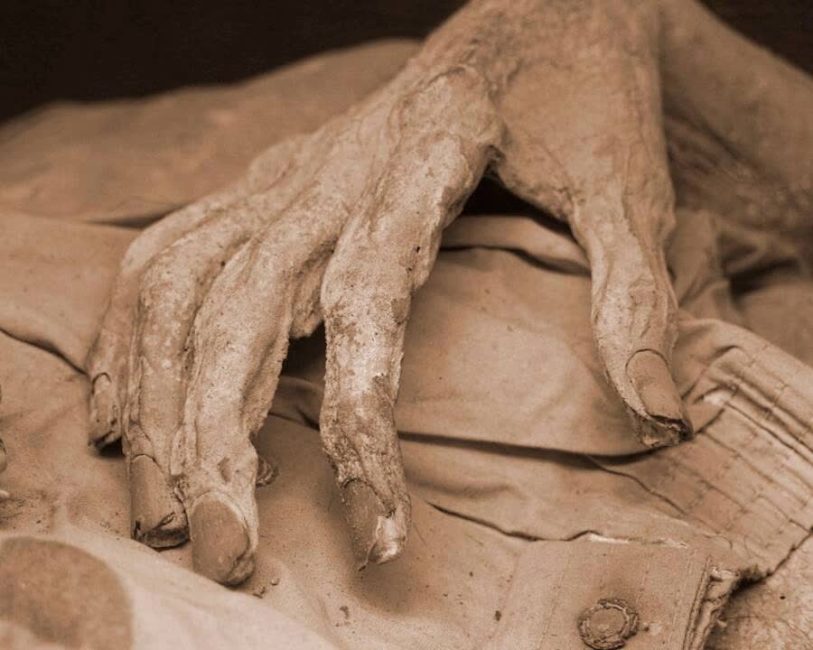 Các chuyên gia cảnh báo rằng các xác ướp được trưng bày ở Mexico có thể lây nhiễm nấm &quot;lời nguyền&quot; cho con người - Ảnh 3.