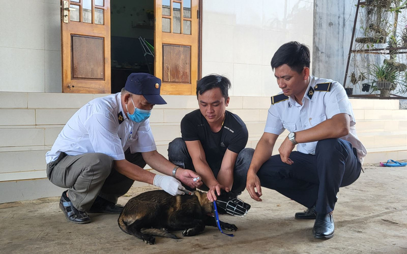 Bé gái 9 tuổi tử vong nghi do bệnh dại - Ảnh 1.