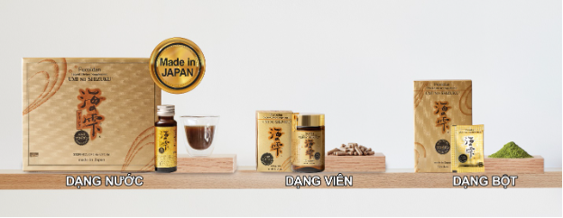 Mối li&ecirc;n hệ giữa fucoidan với c&aacute;c gốc tự do   - Ảnh 3.