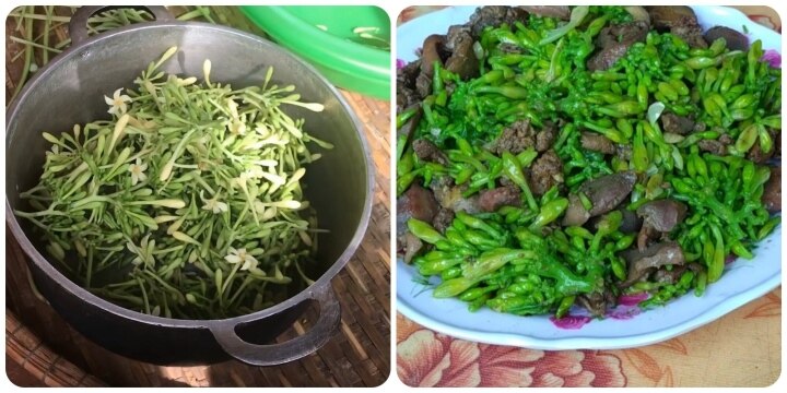 Hoa đu đủ đực x&agrave;o c&oacute; t&aacute;c dụng g&igrave;? - Ảnh 1.