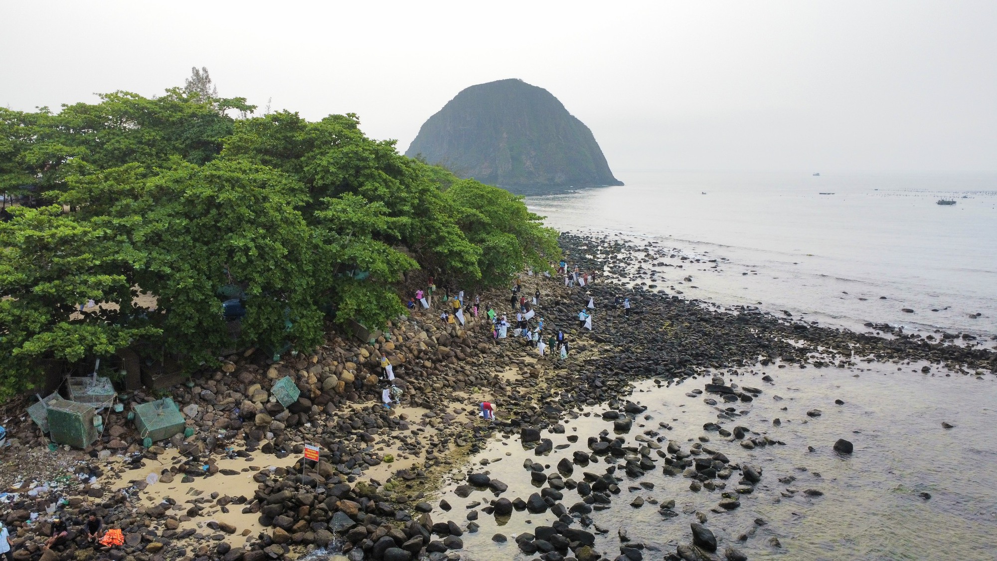 Phú Yên kêu gọi cộng đồng bảo vệ rạn san hô Hòn Yến - Ảnh 2.