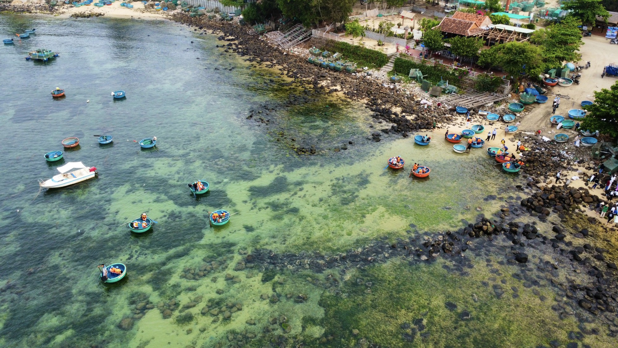Phú Yên kêu gọi cộng đồng bảo vệ rạn san hô Hòn Yến - Ảnh 3.