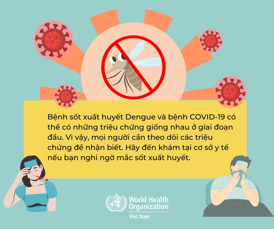 Cách phân biệt sốt xuất huyết và COVID-19 - Ảnh 3.