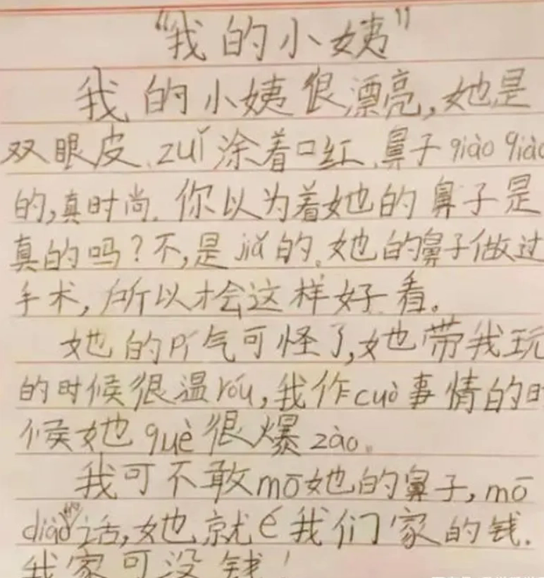 Cậu bé cấp 1 viết văn: &quot;Em không dám sờ vào mũi của dì&quot;, lý do khiến ai nấy cười ngất còn người dì đỏ mặt vì cháu thật thà quá!  - Ảnh 2.