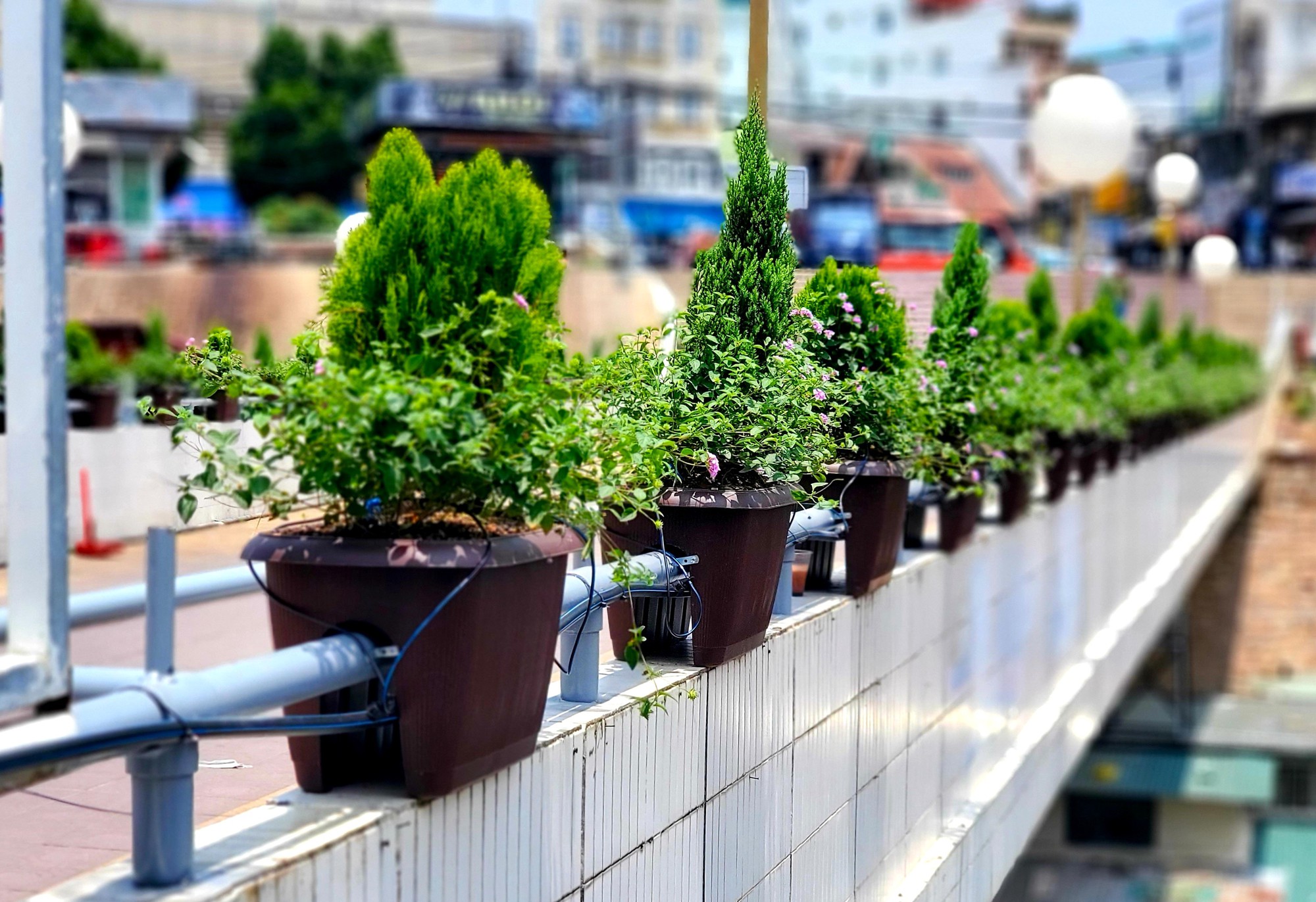 Cận cảnh khung sắt ph&aacute; n&aacute;t cầu Hồng K&ocirc;ng ở Đ&agrave; Lạt - Ảnh 8.