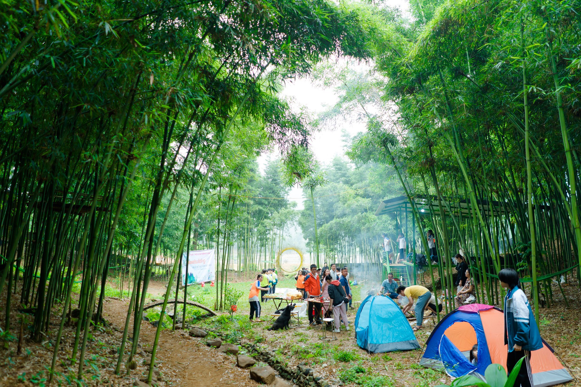 Sự thật về nơi có rừng trúc xanh mướt, nhiều người lùng sục suốt nhiều ngày qua vì muốn đưa gia đình tới tránh nóng - Ảnh 7. Sự thật về nơi có rừng trúc xanh mướt, nhiều người lùng sục suốt nhiều ngày qua vì muốn đưa gia đình tới tránh nóng - Ảnh 7.