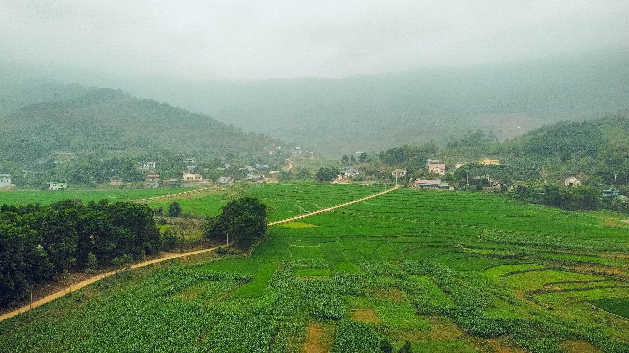 Sự thật về nơi có rừng trúc xanh mướt, nhiều người lùng sục suốt nhiều ngày qua vì muốn đưa gia đình tới tránh nóng - Ảnh 3. Sự thật về nơi có rừng trúc xanh mướt, nhiều người lùng sục suốt nhiều ngày qua vì muốn đưa gia đình tới tránh nóng - Ảnh 3.
